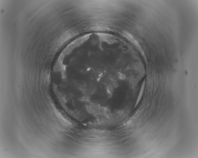 X0000088590063200706081338