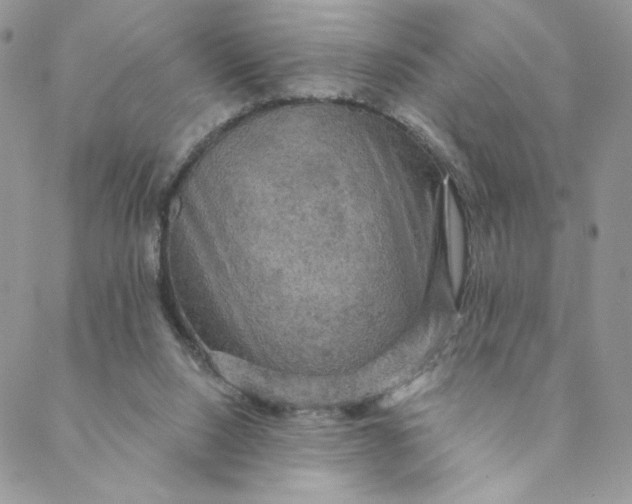 X0000088590064200706081338