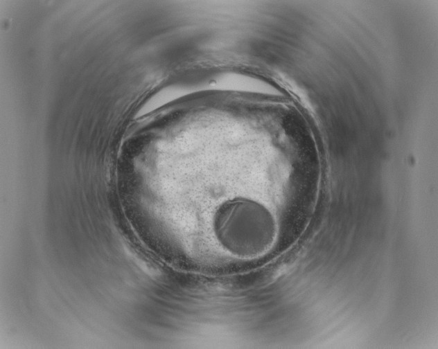 X0000088590065200706081338