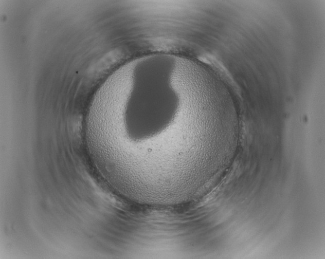 X0000088590066200706081338