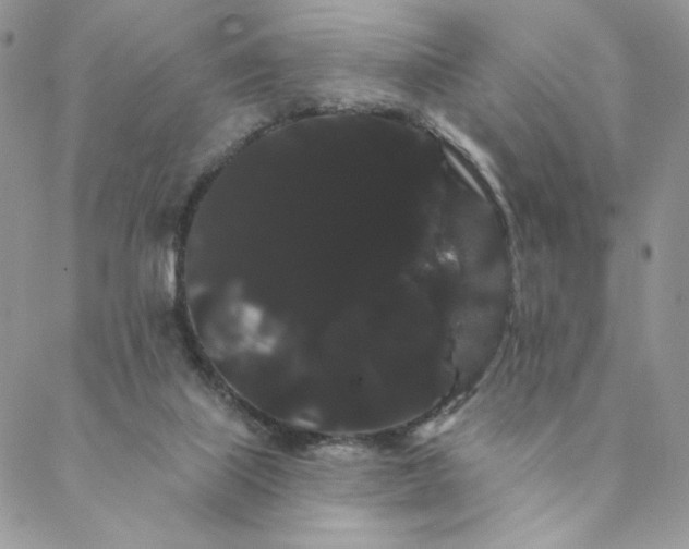 X0000088590067200706081338