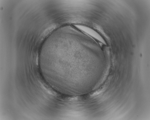 X0000088590068200706081338