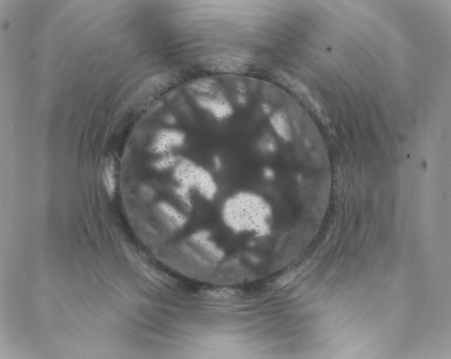 X0000088590069200706081338