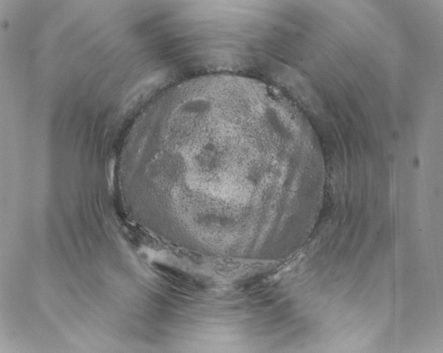 X0000088590070200706081338