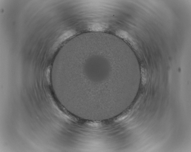 X0000088590071200706081338