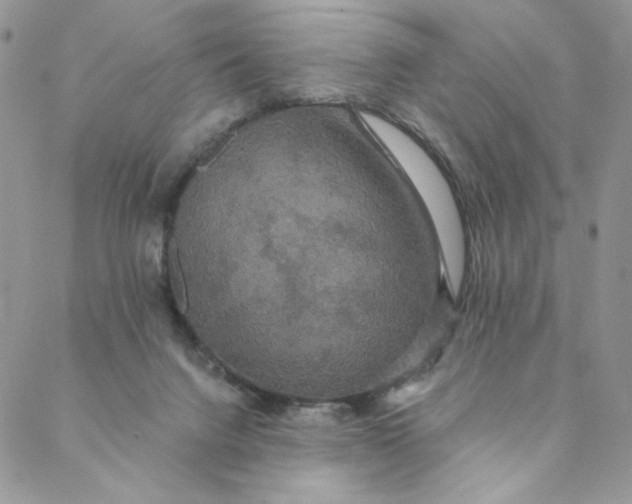 X0000088590072200706081338