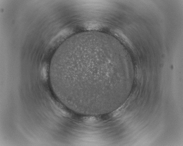 X0000088590074200706081338