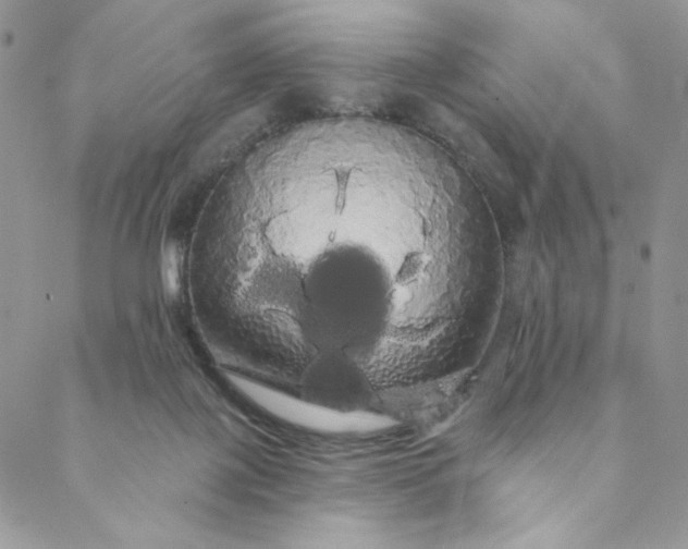 X0000088590075200706081338