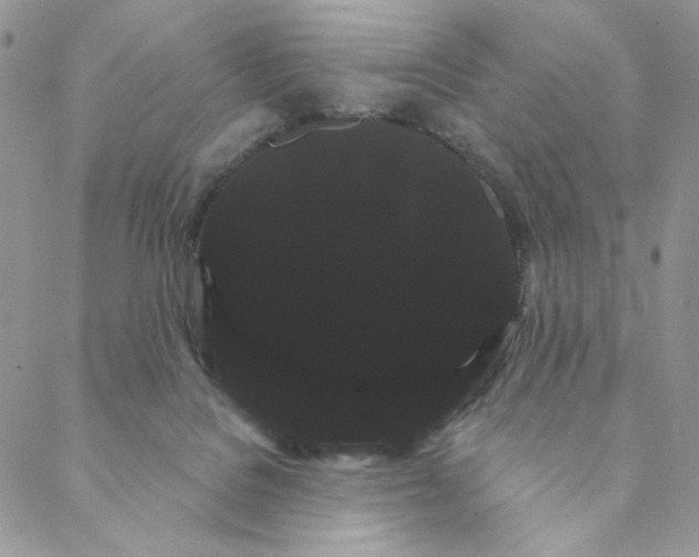 X0000088590076200706081338