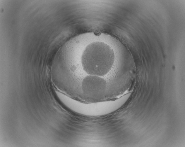 X0000088590077200706081338