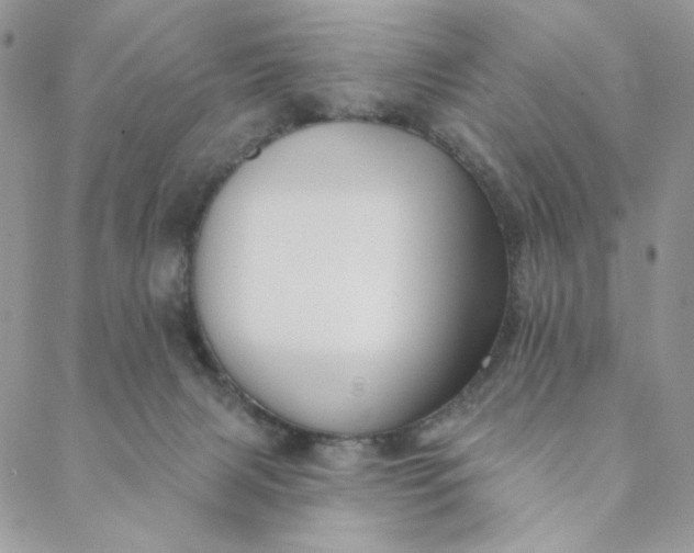 X0000088590079200706081338