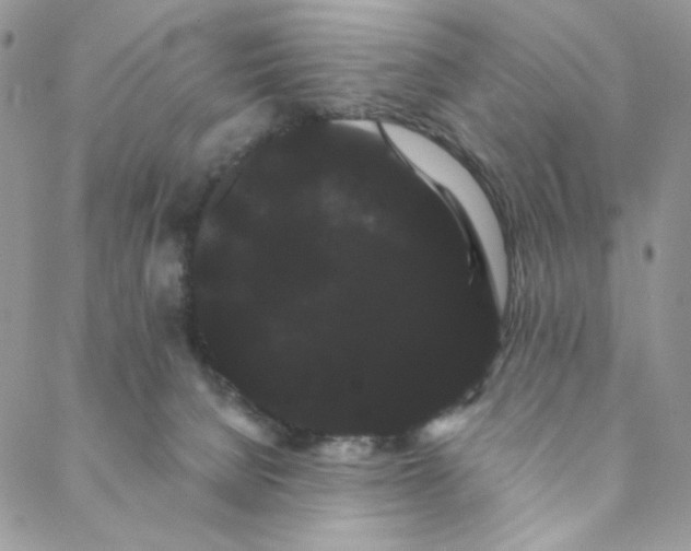 X0000088590080200706081338