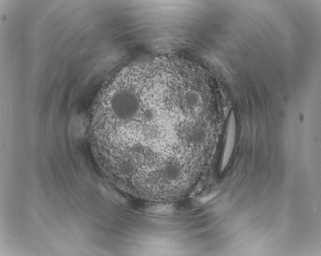 X0000088590081200706081338