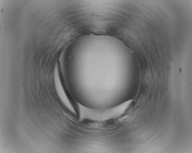 X0000088590084200706081338