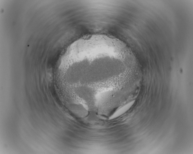 X0000088590085200706081338