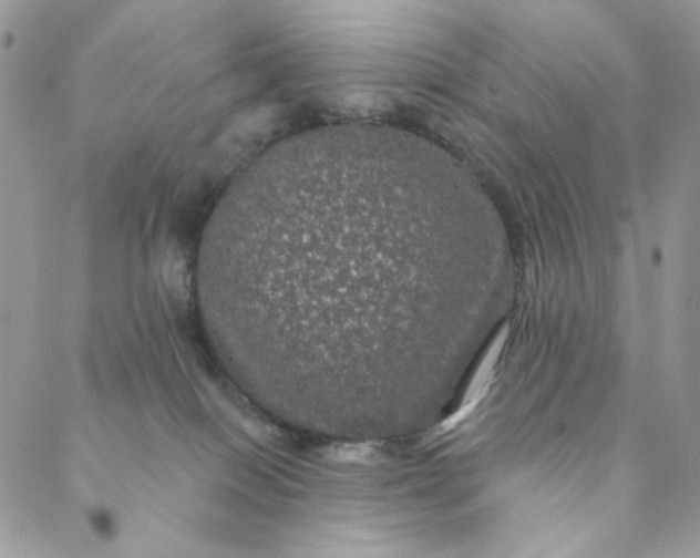 X0000088590086200706081338