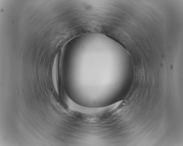 X0000088590088200706081338