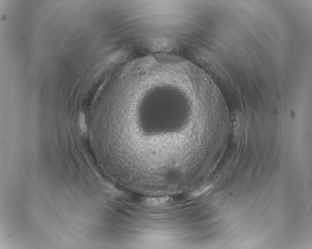 X0000088590089200706081338