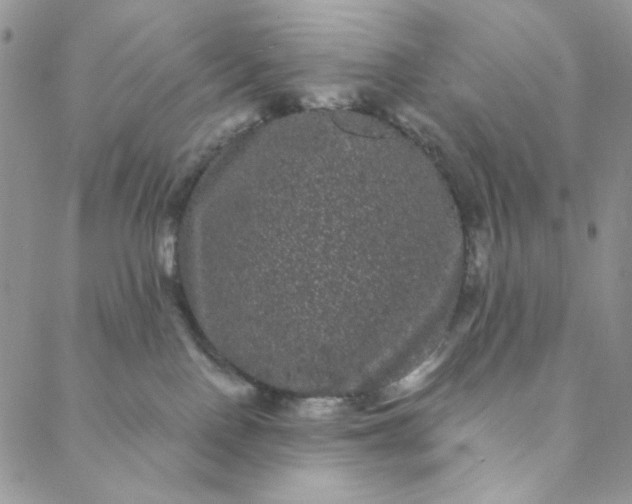 X0000088590090200706081338