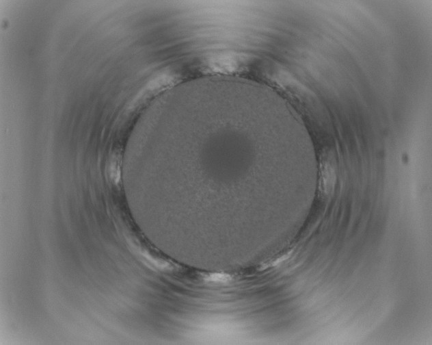 X0000088590091200706081338