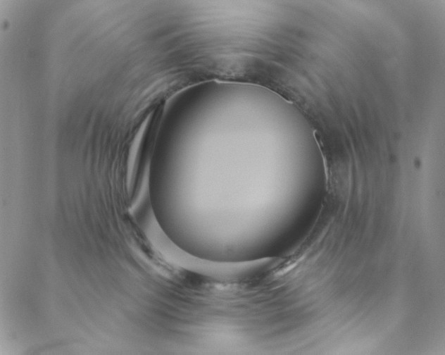 X0000088590092200706081338