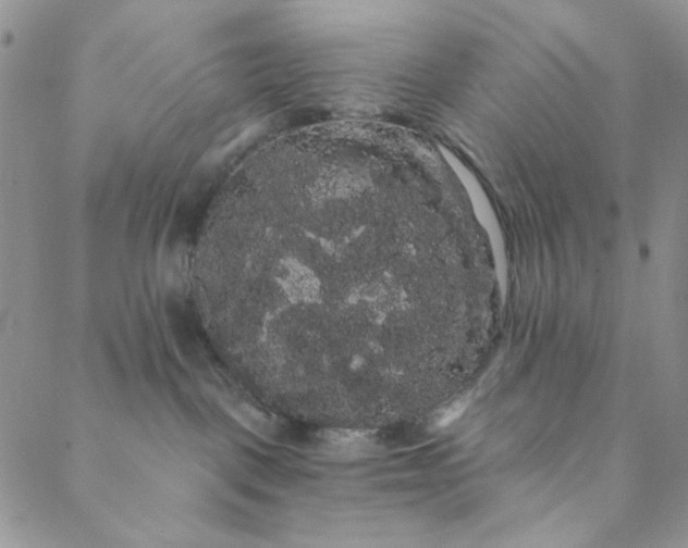 X0000088590093200706081338