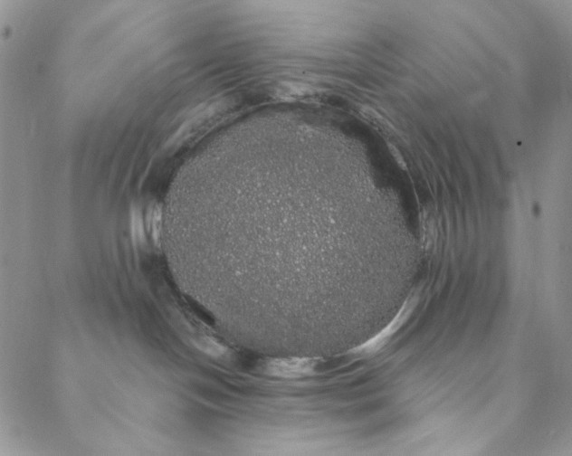 X0000088590094200706081338