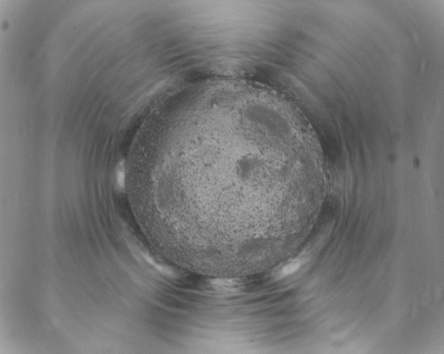 X0000088590095200706081338