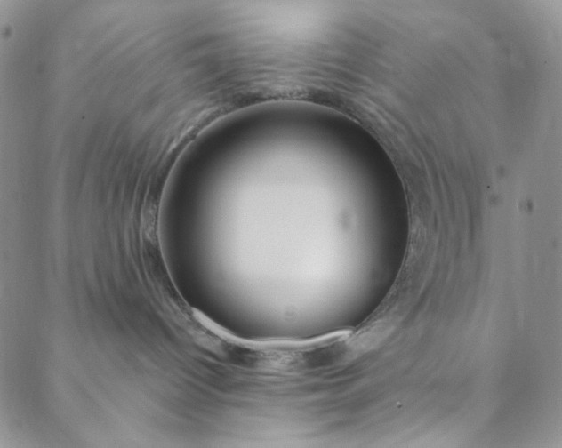 X0000088590096200706081338