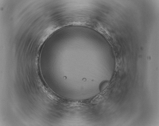 X0000088590098200706081338