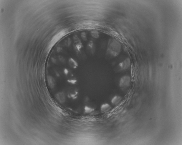 X0000088590099200706081338