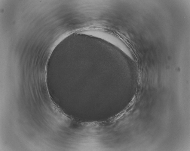 X0000088590100200706081338