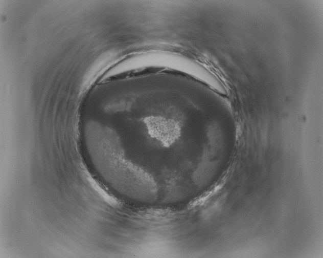 X0000088590101200706081338