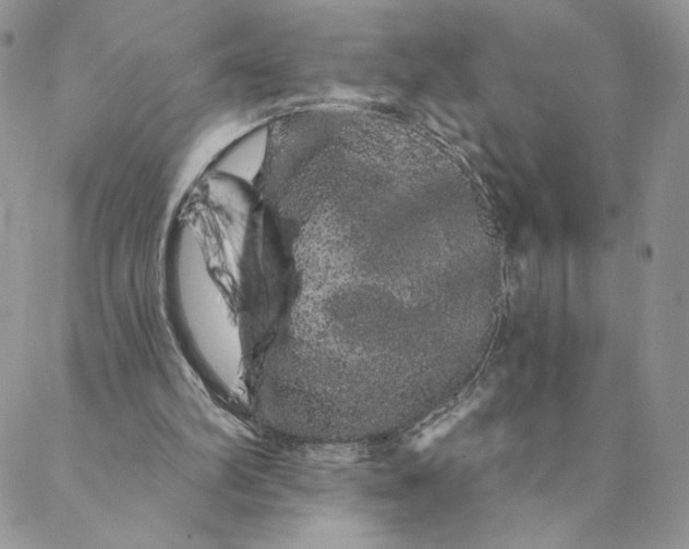 X0000088590102200706081338