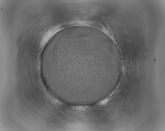 X0000088590103200706081338