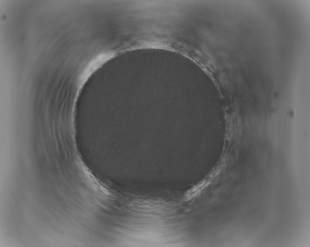 X0000088590104200706081338