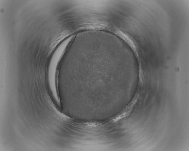 X0000088590105200706081338