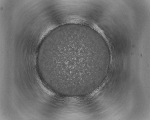 X0000088590106200706081338