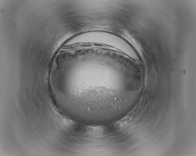 X0000088590107200706081338