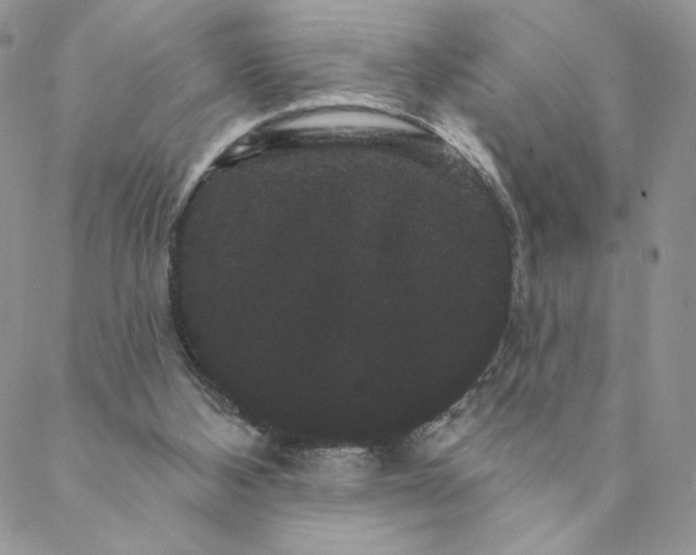 X0000088590108200706081337