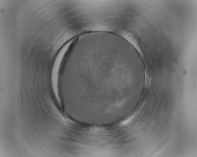 X0000088590109200706081337