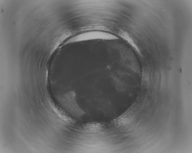 X0000088590110200706081337