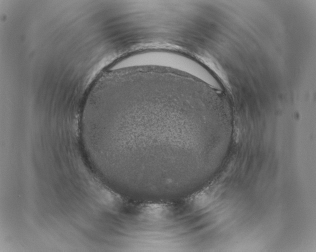 X0000088590111200706081337