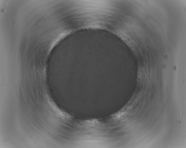 X0000088590112200706081337