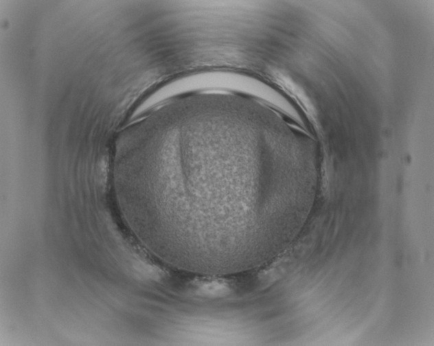 X0000088590113200706081337