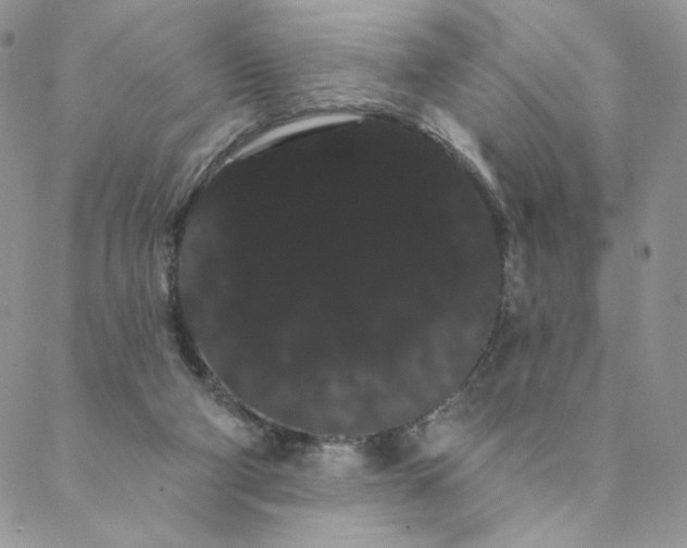 X0000088590114200706081337