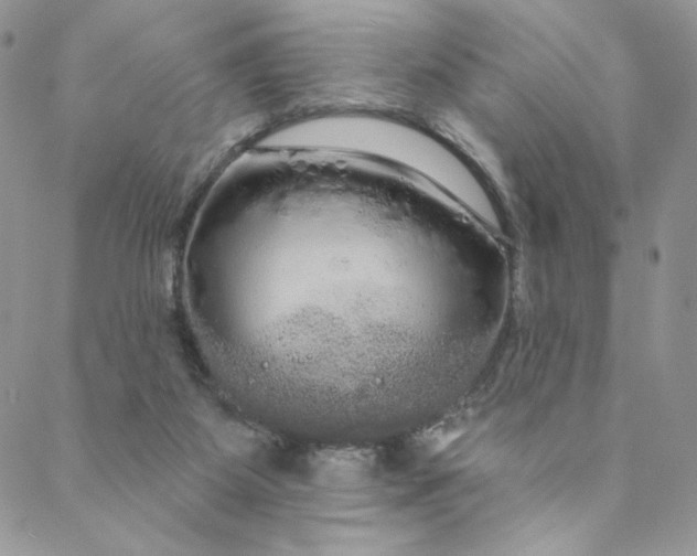 X0000088590115200706081337