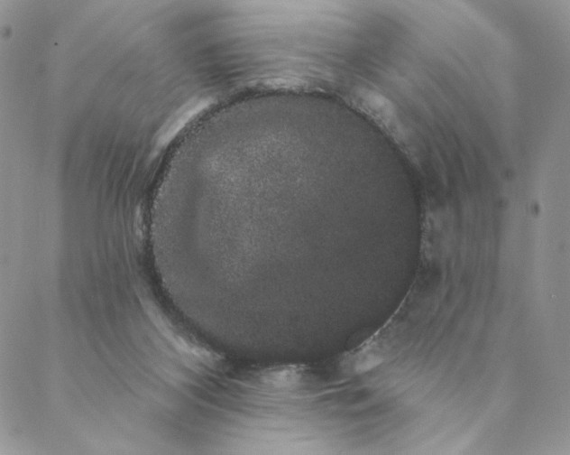 X0000088590116200706081337