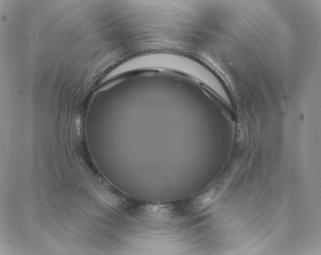 X0000088590117200706081337