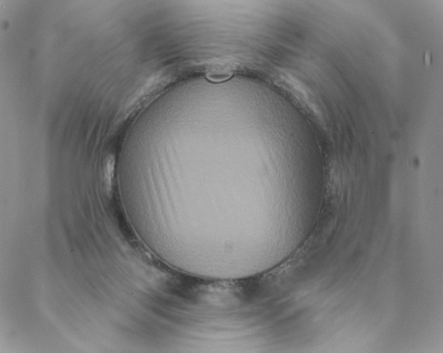 X0000088590118200706081337